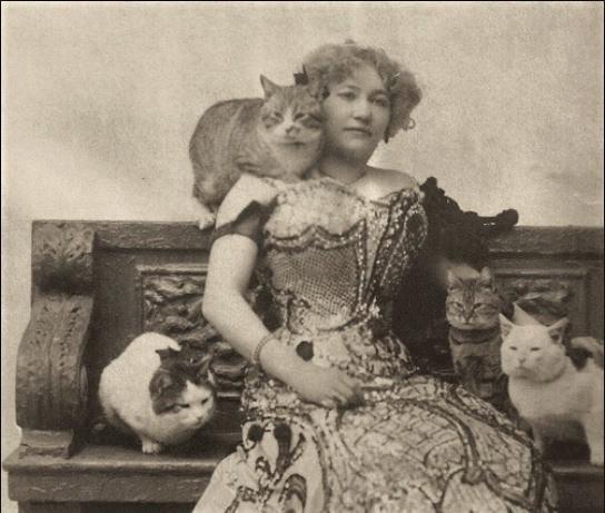 毫无疑问，为什么女人更喜欢猫？