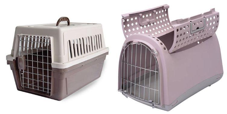 新领回家的猫咪，24 小时内你该做什么是正确的？