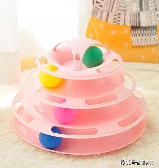 猫舍必备物品清单