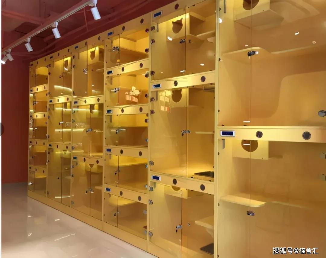 如何做猫舍│抗风险的核心：猫舍的卫生管理操作规范