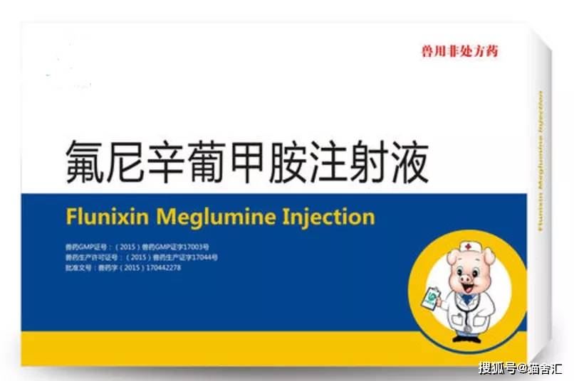 猫舍必看疾病科普│猫杯状病毒