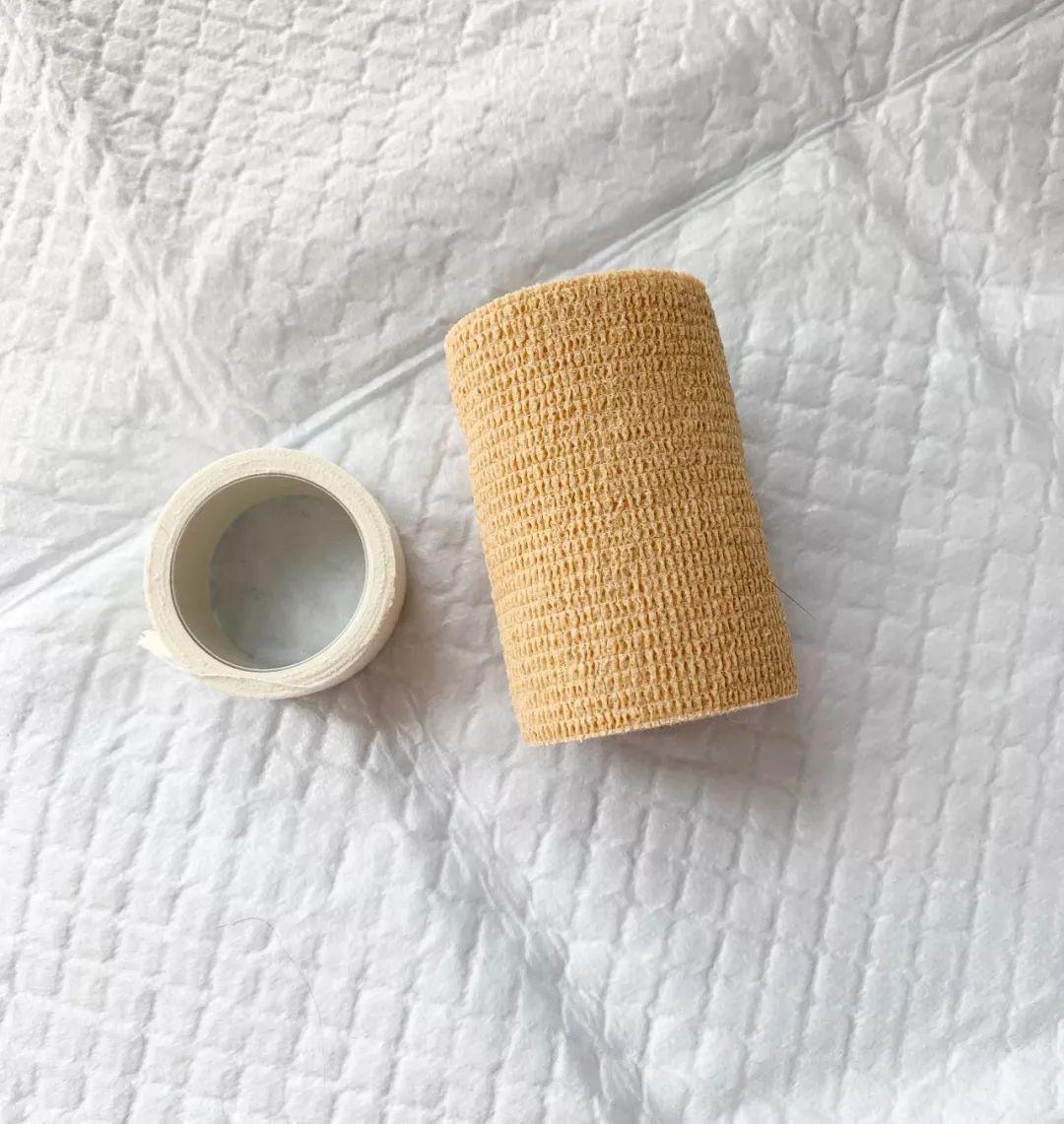 拒绝安乐死：小猫腿部先天畸形的治疗方法（每个繁育人都要看看）