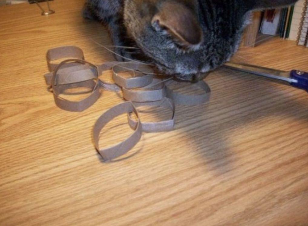 6 款猫咪超爱玩的 DIY 玩具