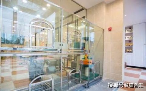 如何做猫舍│抗风险的核心：猫舍的卫生管理操作规范