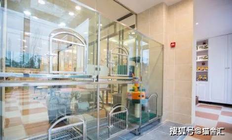 如何做猫舍│抗风险的核心：猫舍的卫生管理操作规范