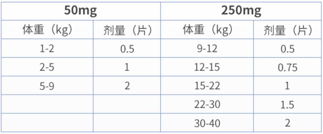 猫用速诺的使用指南