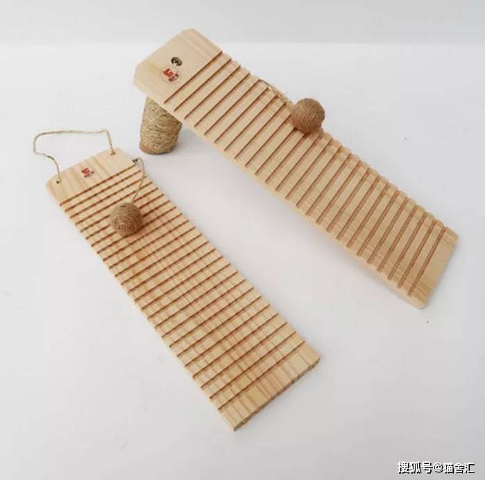 猫舍必备物品清单