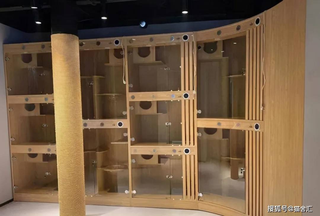 如何做猫舍│抗风险的核心：猫舍的卫生管理操作规范