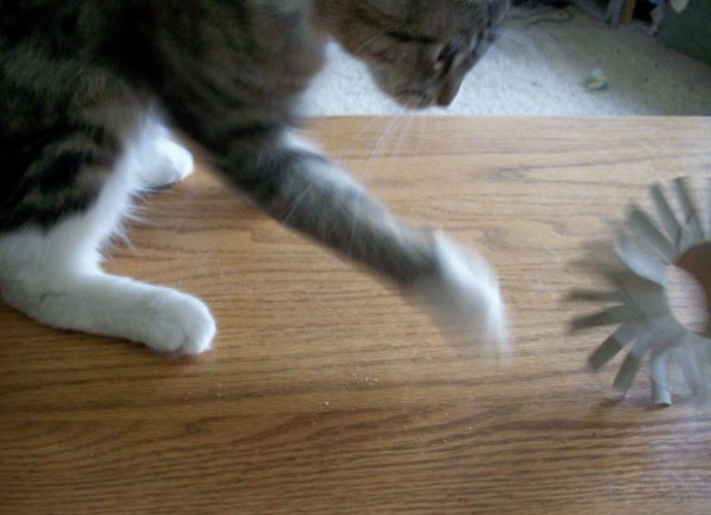 6 款猫咪超爱玩的 DIY 玩具