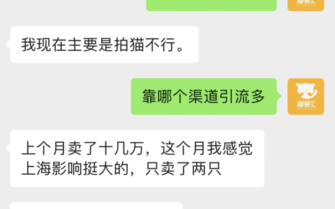 年入百万的猫舍，需要具备哪些条件？