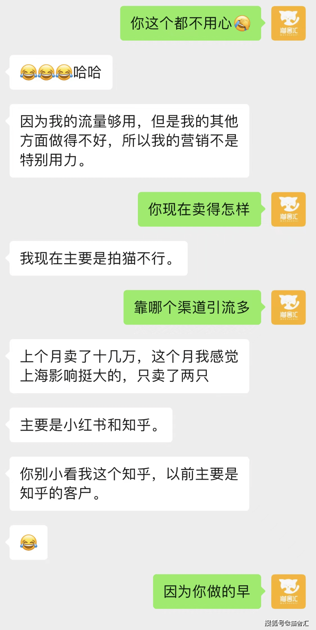 年入百万的猫舍,需要具备哪些条件?