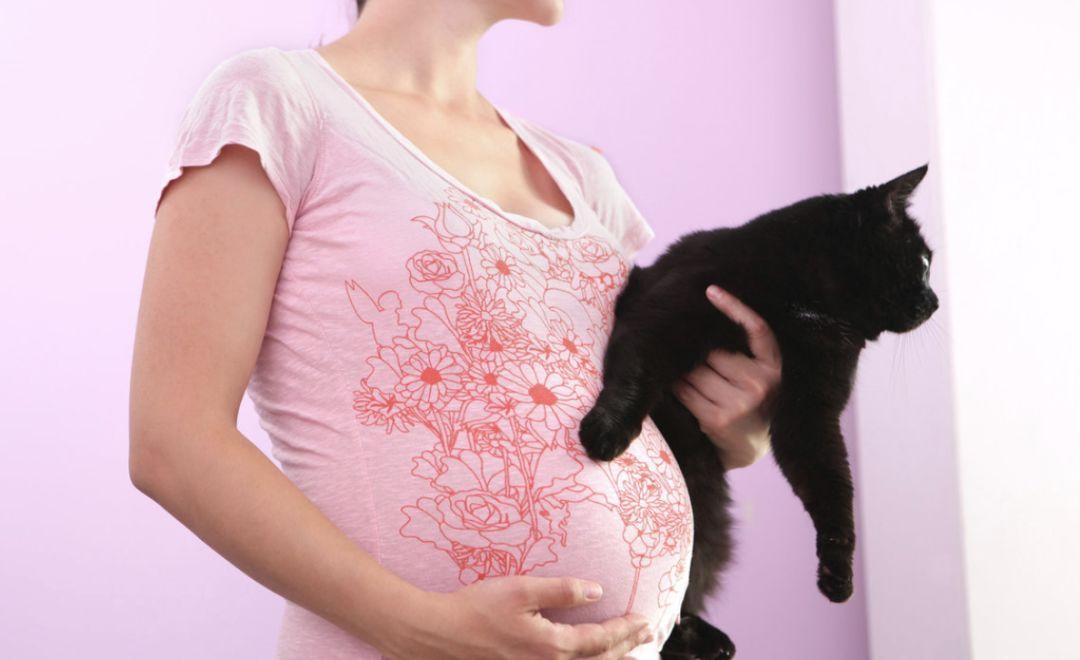在你的孕期，猫咪会给你带来什么？