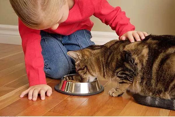 我的猫爱咬我怎么办（二）