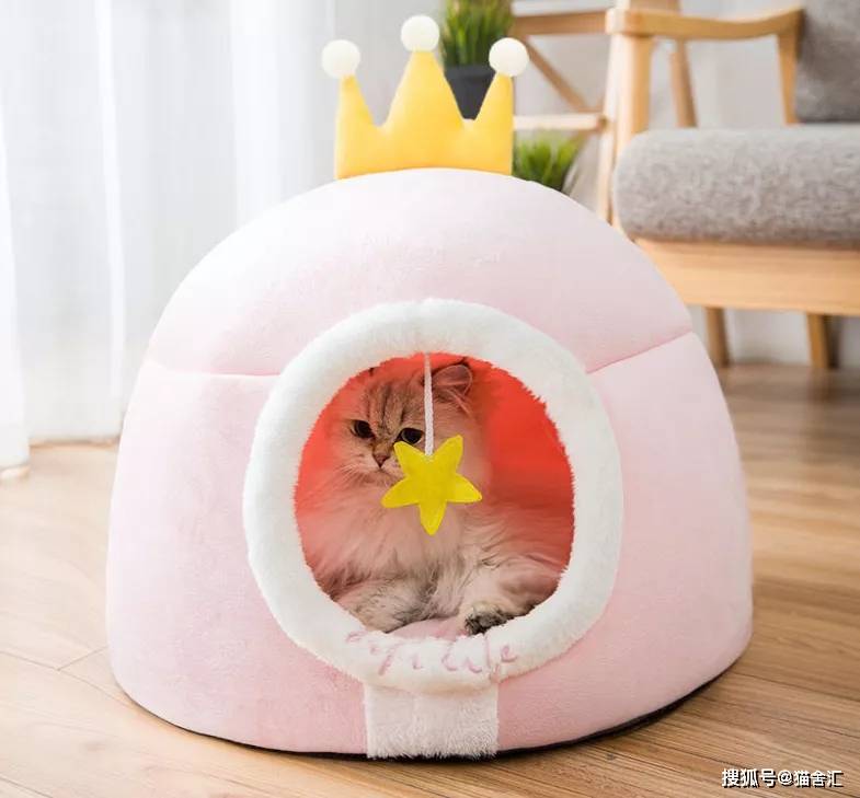 猫舍必备物品清单