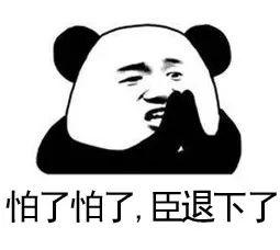 猫咪攻击行为最常见的一个原因（重定向攻击）