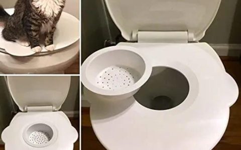 训练猫咪用马桶，真的有必要么？