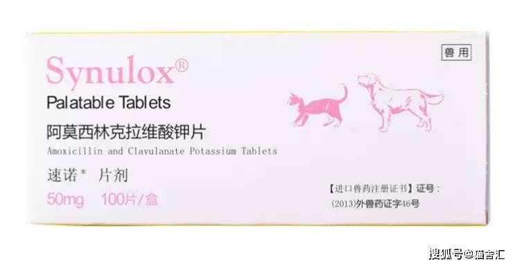 猫舍用药指南│速诺等抗感染药物适用于哪些情况？