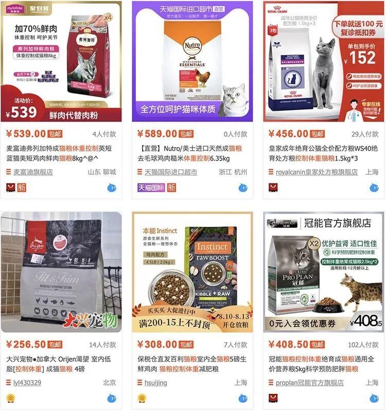 如何高效而科学地给猫减肥？