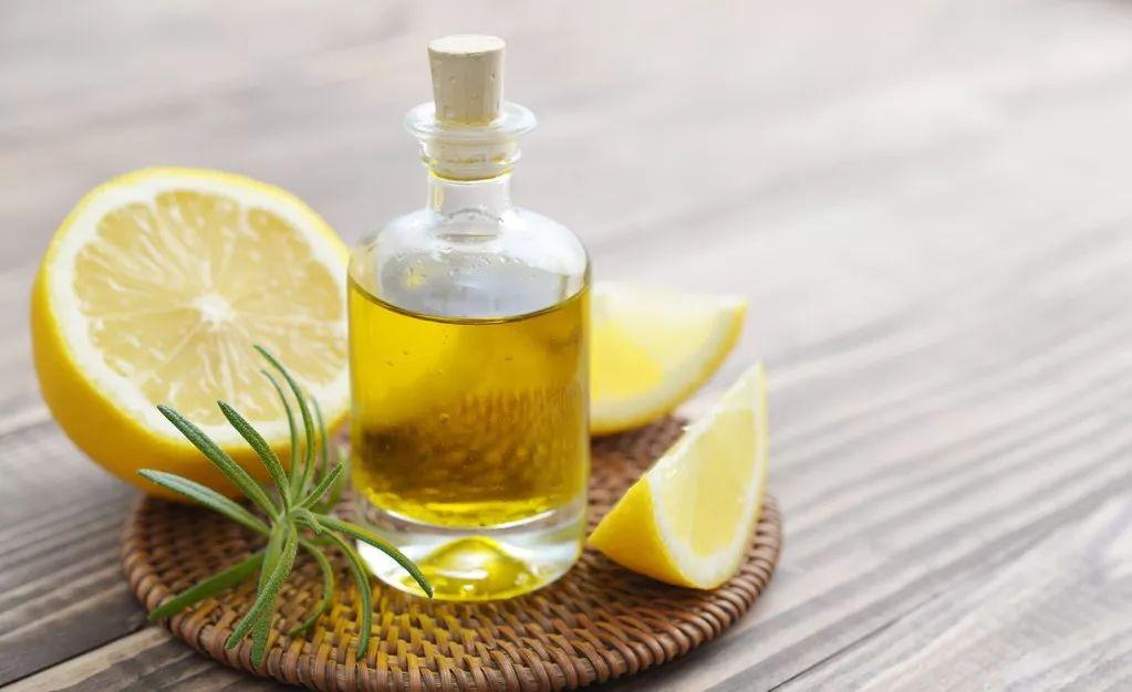 三十种绝对不能给猫吃的食物！