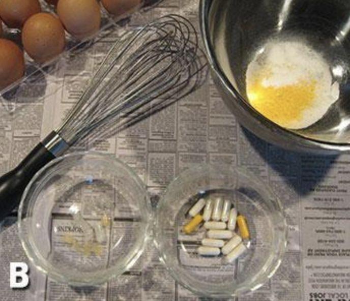 最简单的猫咪生骨肉食谱（源自 FELINE - NUTRITION）