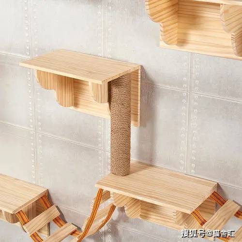 人猫同住下怎么规划空间