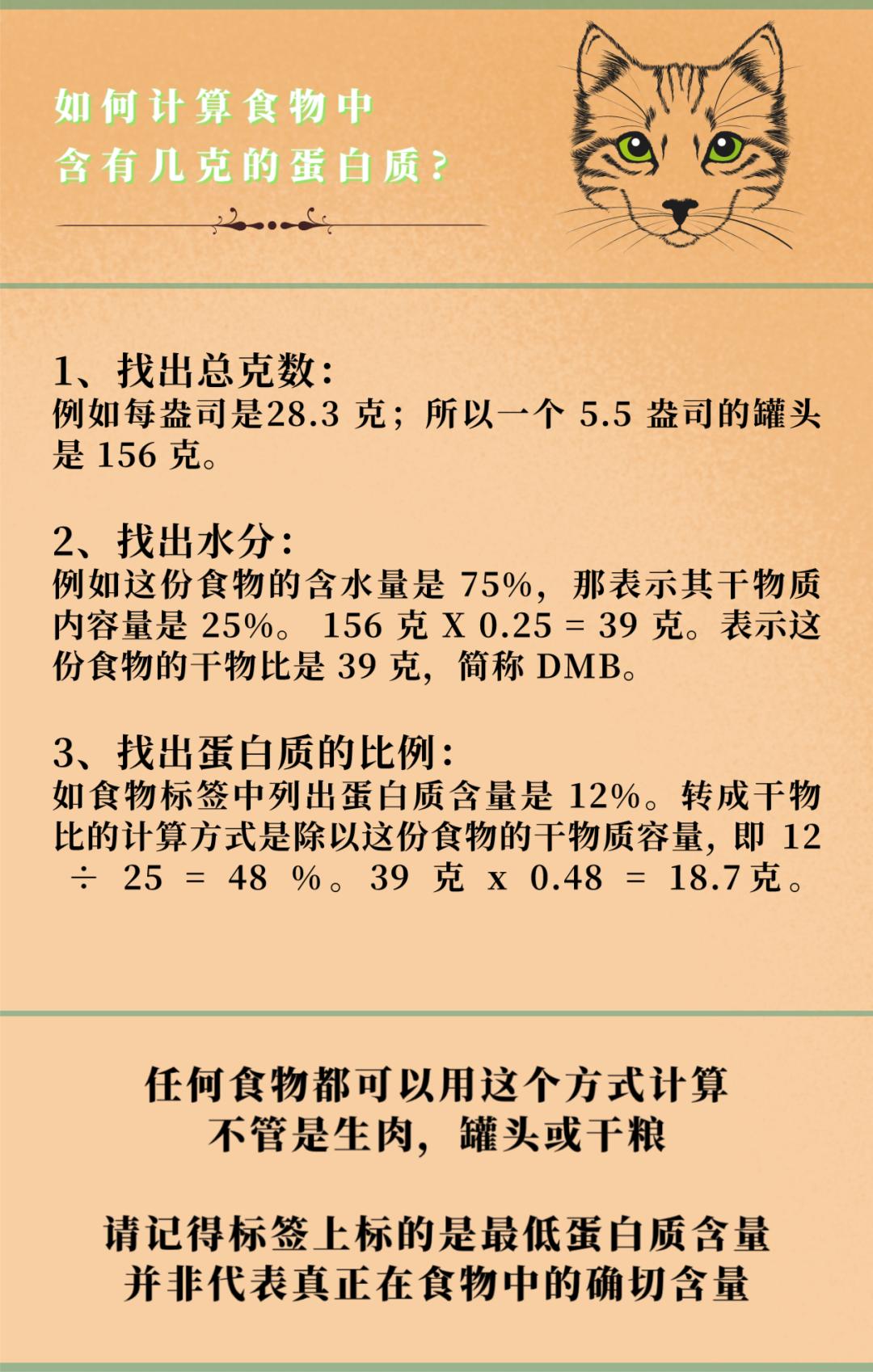 别让老猫瘦成皮包骨