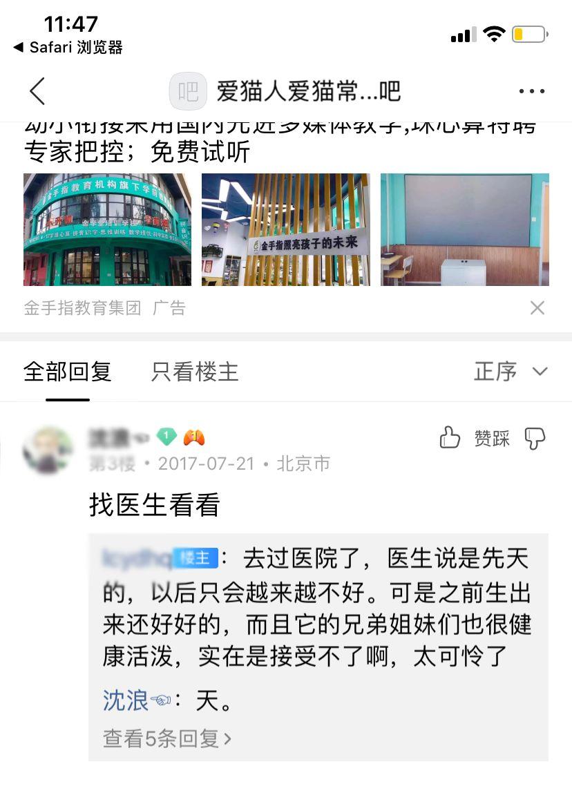 拒绝安乐死：小猫腿部先天畸形的治疗方法（每个繁育人都要看看）