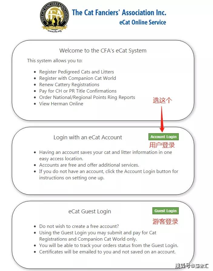 如何做猫舍│CFA猫舍协会证书注册