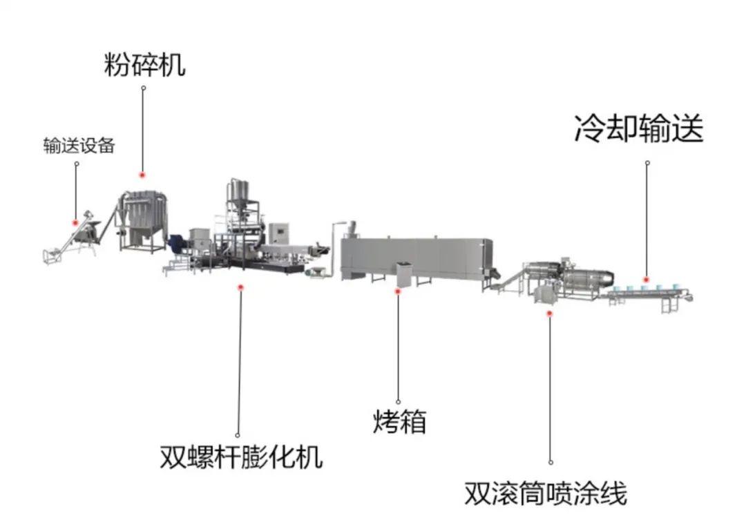 如何高效而科学地给猫减肥？