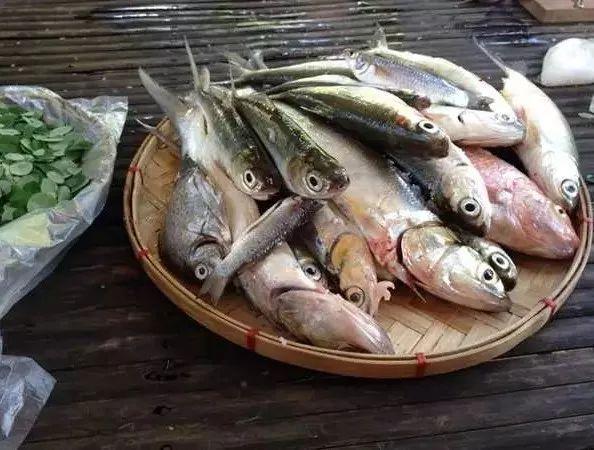 这些气味，猫咪都不喜欢！