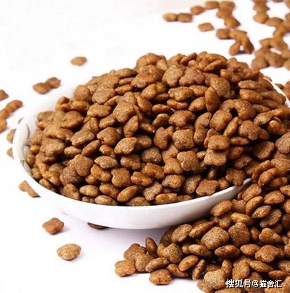 如何做猫舍│种猫的饮食管理:猫粮、生肉、营养素、零食