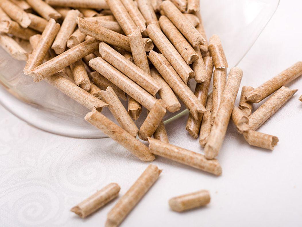 这些气味，猫咪都不喜欢！