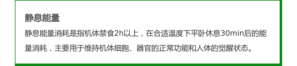如何高效而科学地给猫减肥？