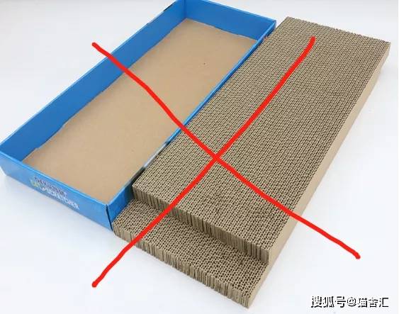 猫舍必备物品清单