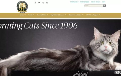 如何做猫舍│CFA猫舍协会证书注册