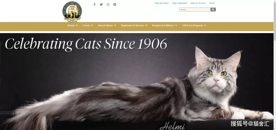 如何做猫舍│CFA猫舍协会证书注册