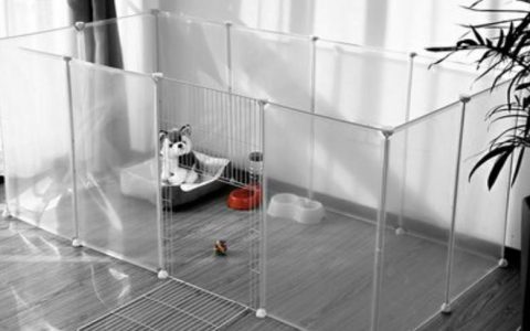 我的母猫怀孕了，我都要做哪些事情？