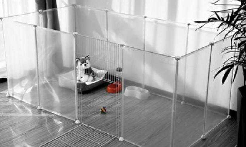 我的母猫怀孕了，我都要做哪些事情？