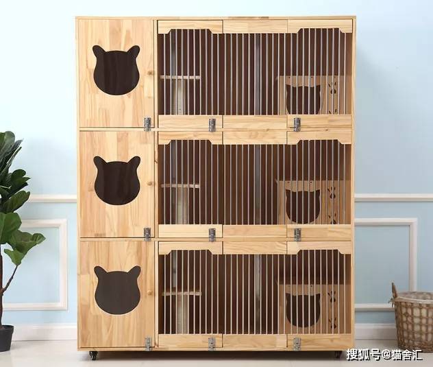 如何做猫舍│猫舍的设计规范