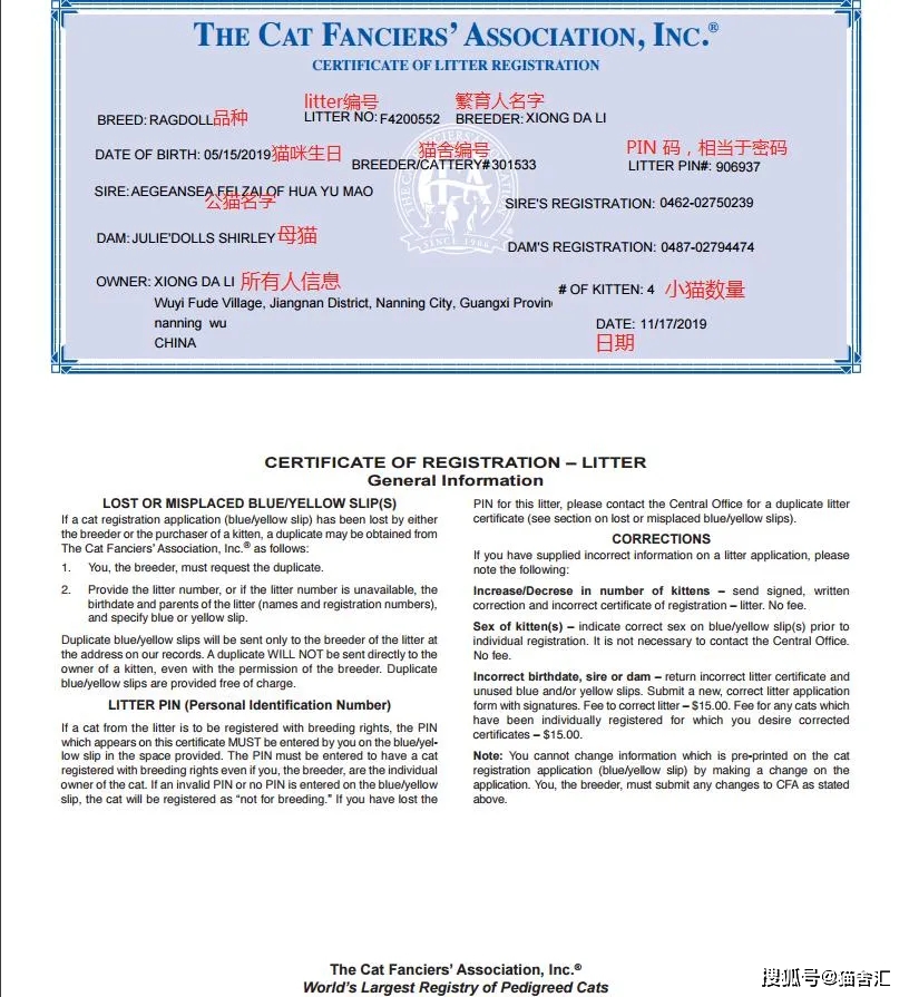 如何做猫舍│CFA猫舍协会证书注册