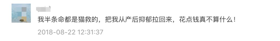 在你的孕期，猫咪会给你带来什么？