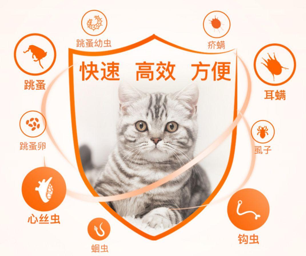 为什么我的猫咪会掉毛？