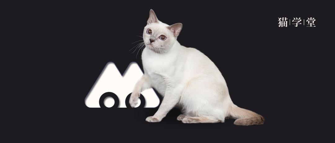 What？正规猫舍就不应该有笼子？