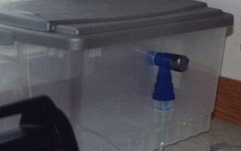 给猫使用人的雾化器，怎么用才对？