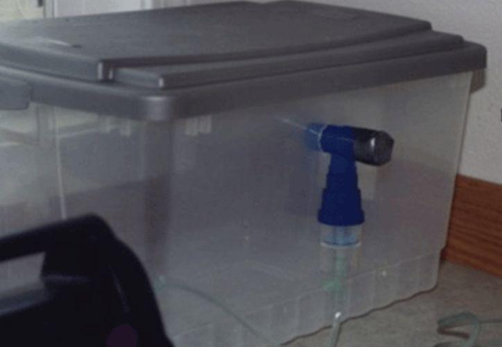 给猫使用人的雾化器，怎么用才对？