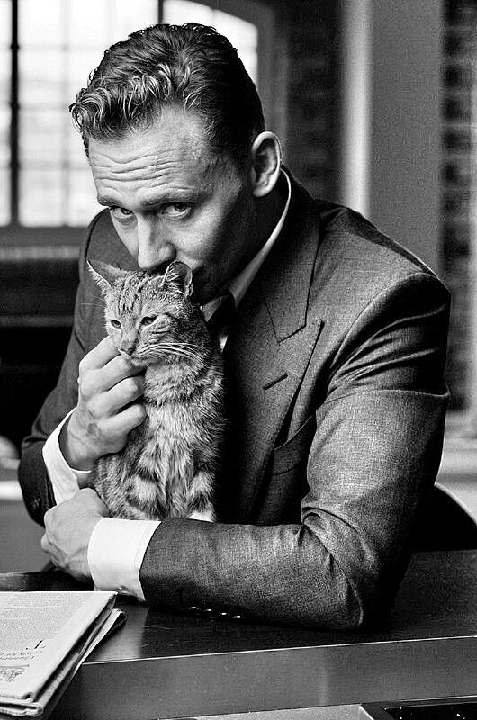 猫咪真的喜欢被亲吻吗？