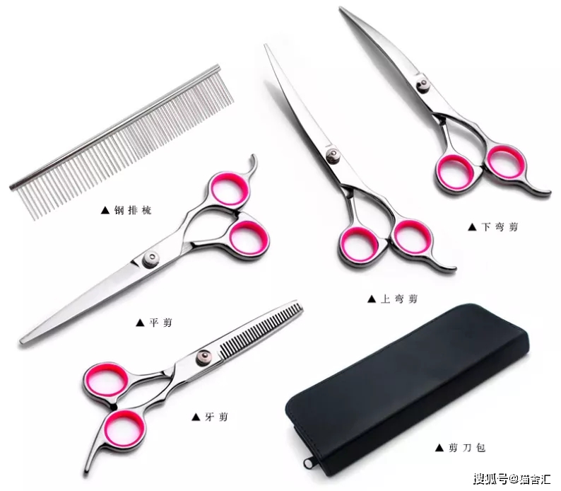 猫舍必备物品清单