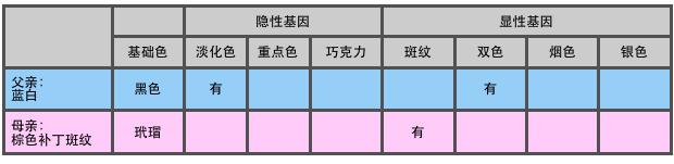 猫咪颜色遗传基础知识