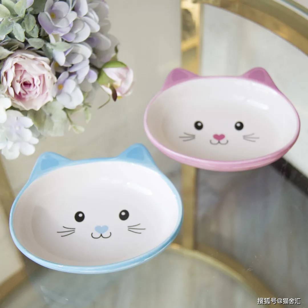 如何做猫舍│抗风险的核心：猫舍的卫生管理操作规范