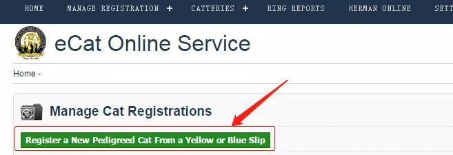 如何做猫舍│CFA猫舍协会证书注册